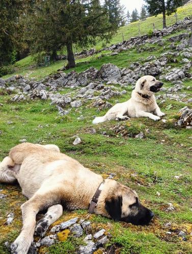 2024-05-21-LesRousses24