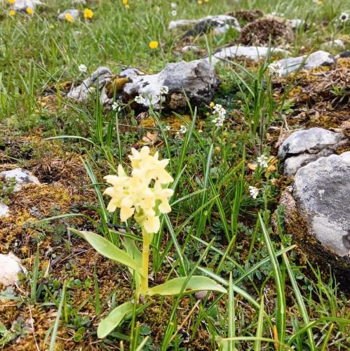 2024-05-21-LesRousses27