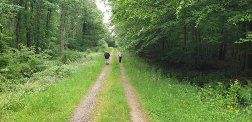 2024-05-21-StDidier02