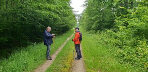 2024-05-21-StDidier03