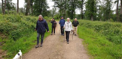 2024-05-21-StDidier05