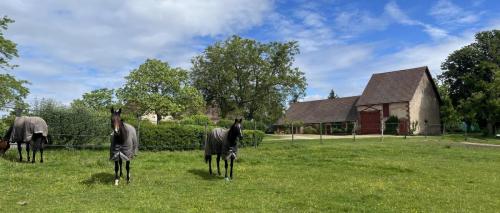 2024-05-21-Thionne05