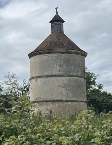 2024-05-21-Thionne06