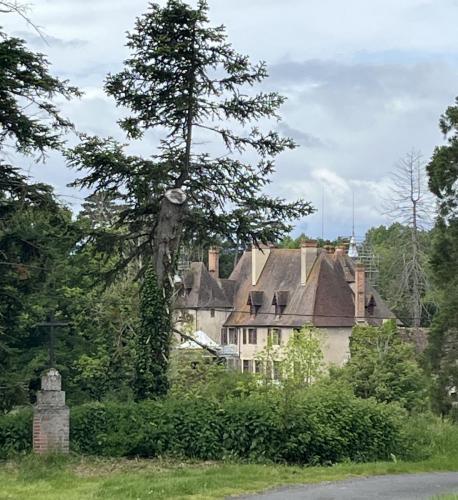 2024-05-21-Thionne07