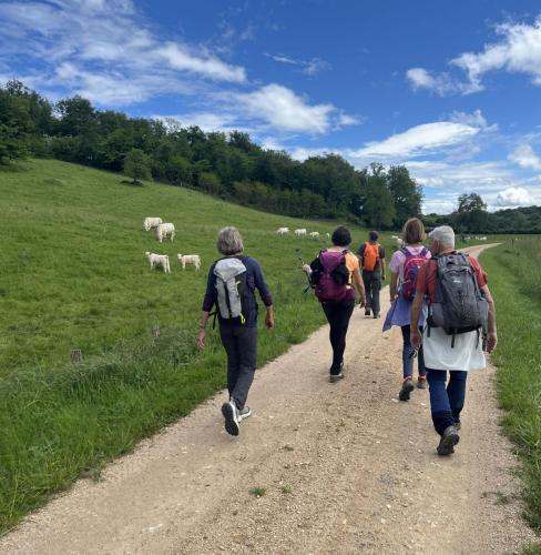 2024-05-21-Thionne09