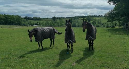 2024-05-21-Thionne14