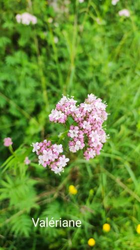 2024-05-23-LeVernet02