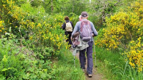 2024-05-23-LeVernet04