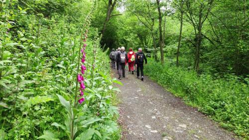 2024-05-23-LeVernet05