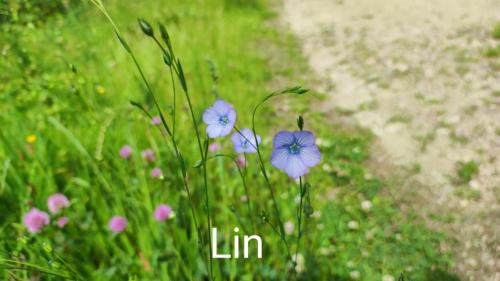 2024-05-23-LeVernet09