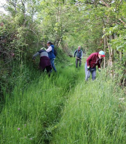 2024-05-25-Nettoyage02