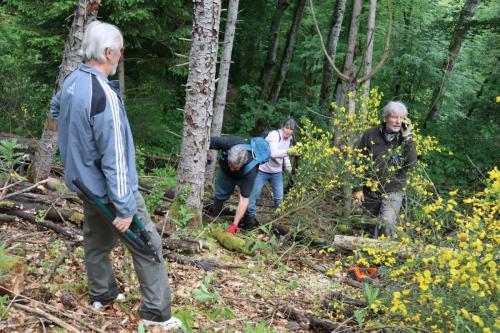 2024-05-25-Nettoyage04