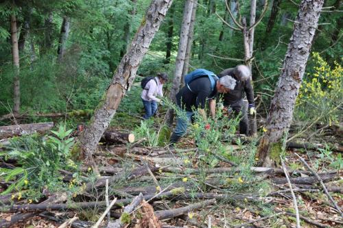 2024-05-25-Nettoyage05