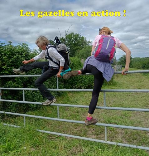 2024-05-28-SteTherence21 (1)