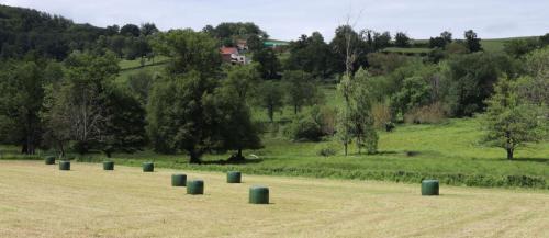 2024-05-30-Chatelus08