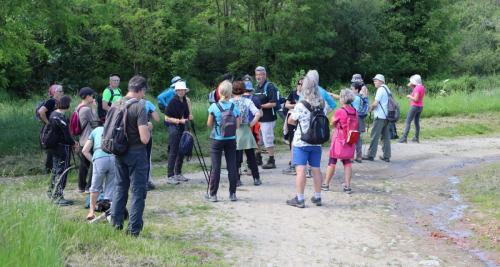 2024-06-04-Begues15