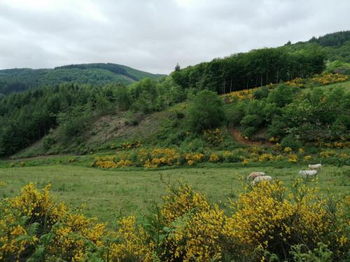 2024-06-04-LaVerrerie12