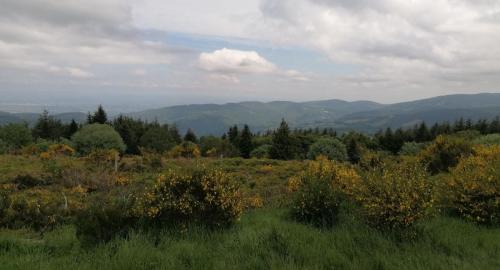 2024-06-04-LaVerrerie16