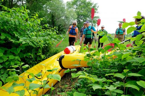 2024-06-07-Canoe10 (1)