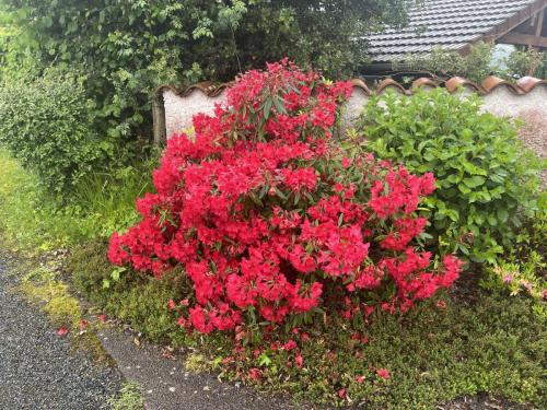 2024-06-11-LaChabanne01