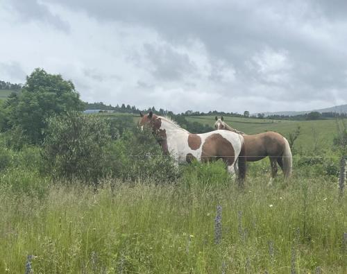 2024-06-11-LaChabanne02