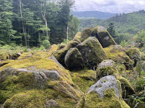 2024-06-11-LaChabanne06