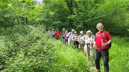 2024-06-18-Nizerolles04 (1)