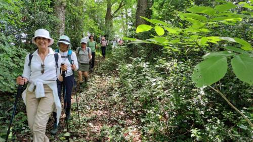 2024-06-18-Nizerolles05