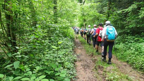 2024-06-18-Nizerolles06