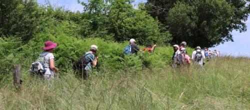 2024-06-18-Nizerolles10