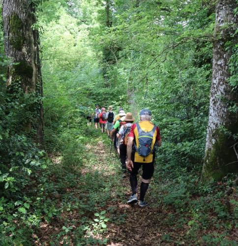 2024-06-18-Nizerolles11