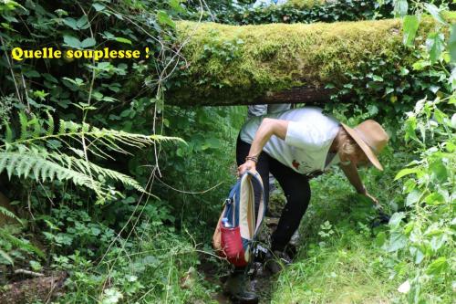 2024-06-18-Nizerolles12