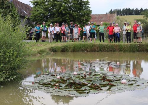 2024-06-18-Nizerolles13