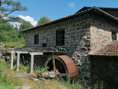 2024-06-25-Champoly13