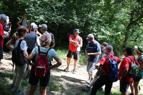 2026-06-25-Artonne03