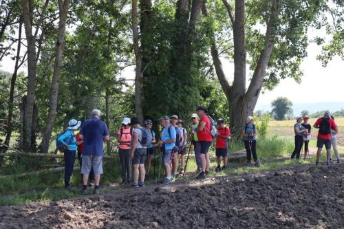 2026-06-25-Artonne04