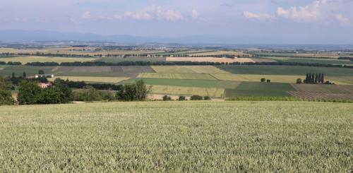 2026-06-25-Artonne07