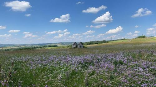 2026-06-25-Artonne11