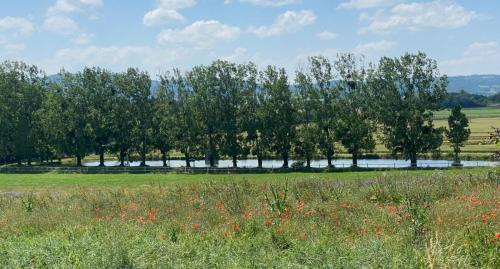 2026-06-25-Artonne14