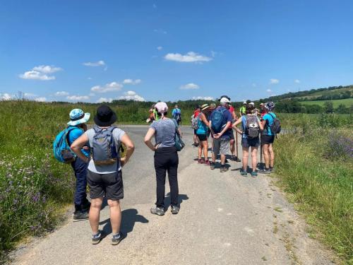 2026-06-25-Artonne16