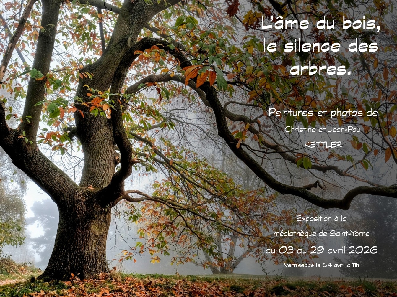 20260403-29 L’âme du bois, le silence des arbres