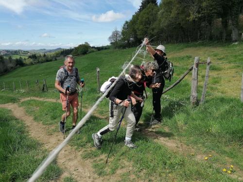 Rando 1/2 journée à Châtel Montagne le 16 avril 2026