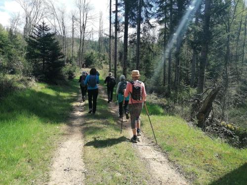 2024-04-16-ChatelMontagne04
