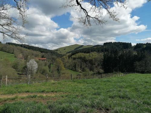 2024-04-16-ChatelMontagne10