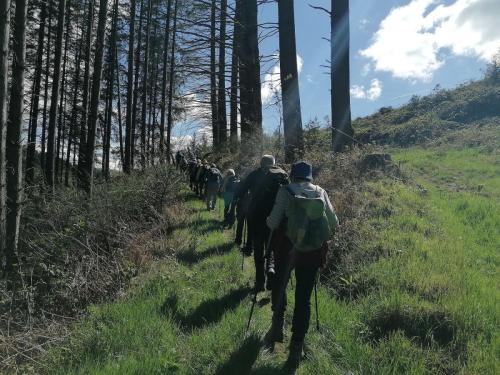 2024-04-16-ChatelMontagne11
