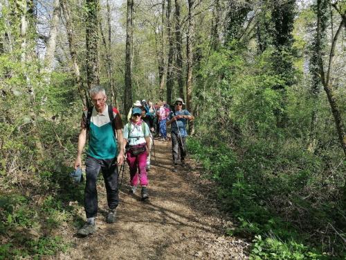 2024-04-16-ChatelMontagne14
