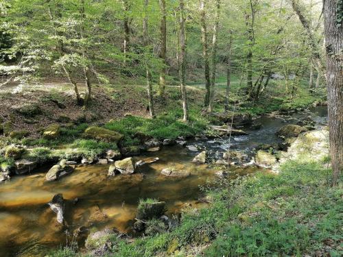 2024-04-16-ChatelMontagne15