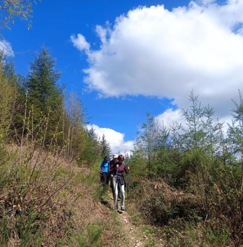 2024-04-16-ChatelMontagne19