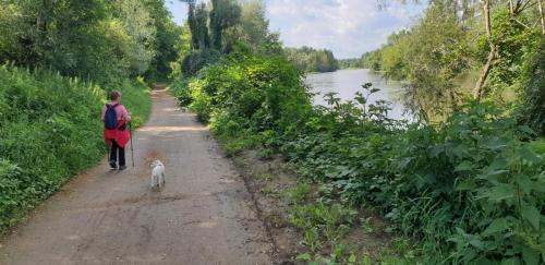 2024-07-01-StGermain02 (1)