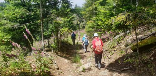 2024-07-05-LaChabanne08